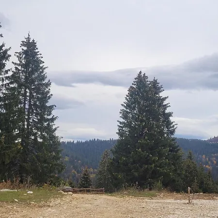 Alpesi faház Little Cabin Gornja Šišava